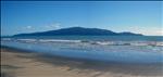 kapiti island